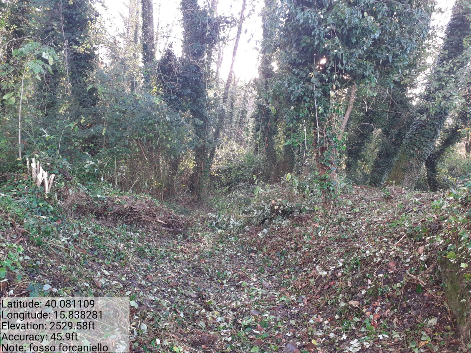 Galleria Fotografica Immagine