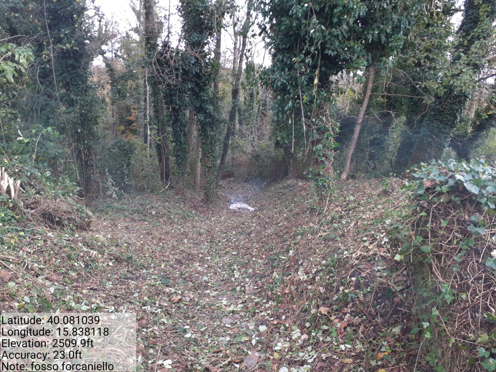 Galleria Fotografica Immagine