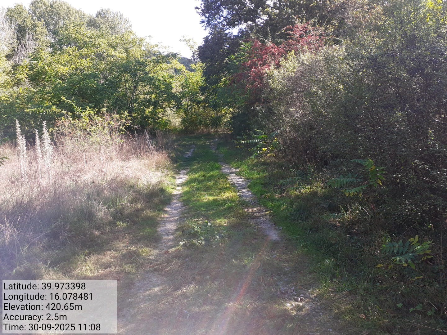 Galleria Fotografica Immagine