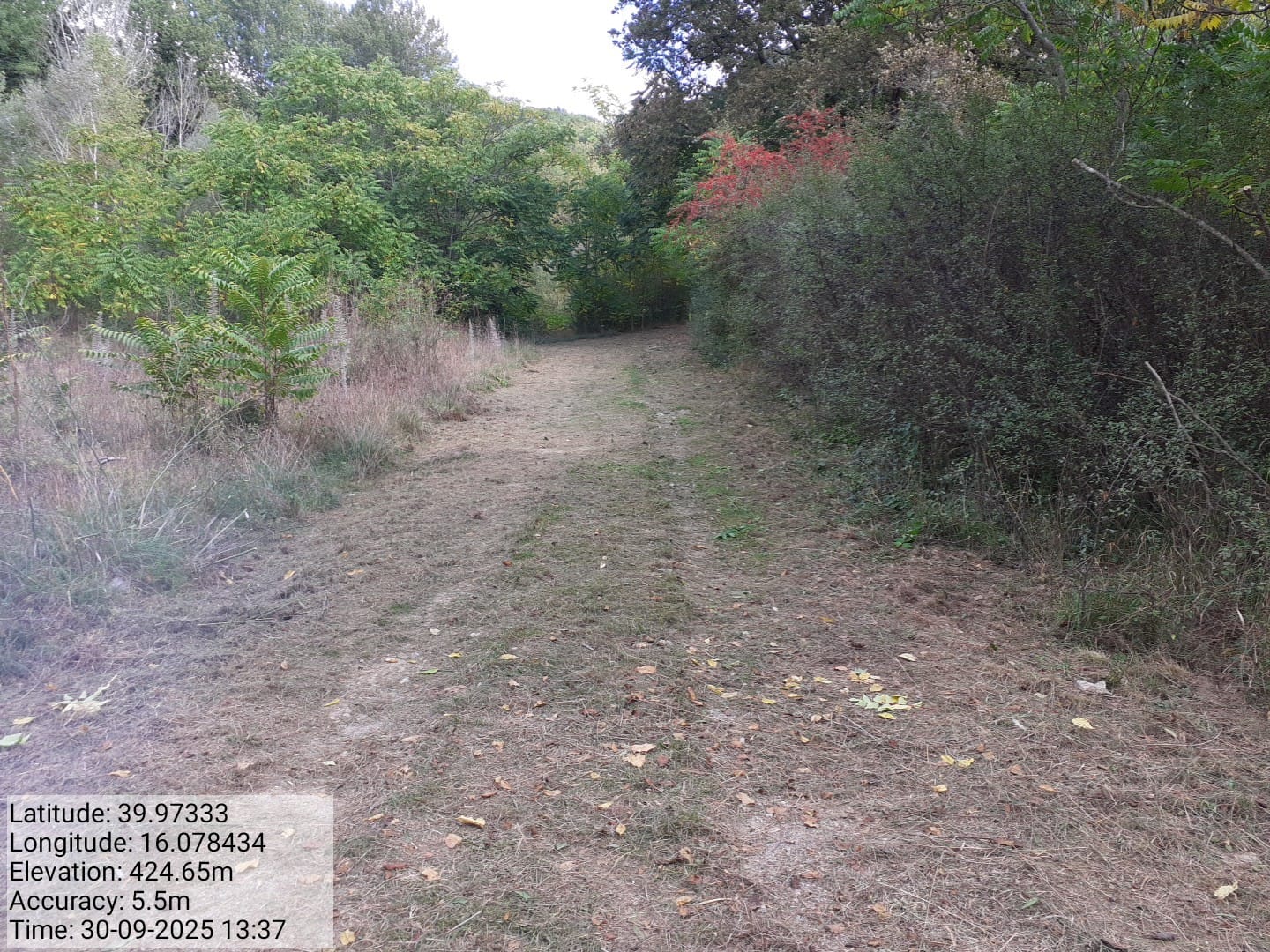 Galleria Fotografica Immagine