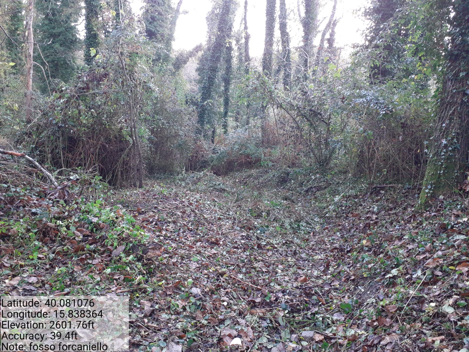 Galleria Fotografica Immagine