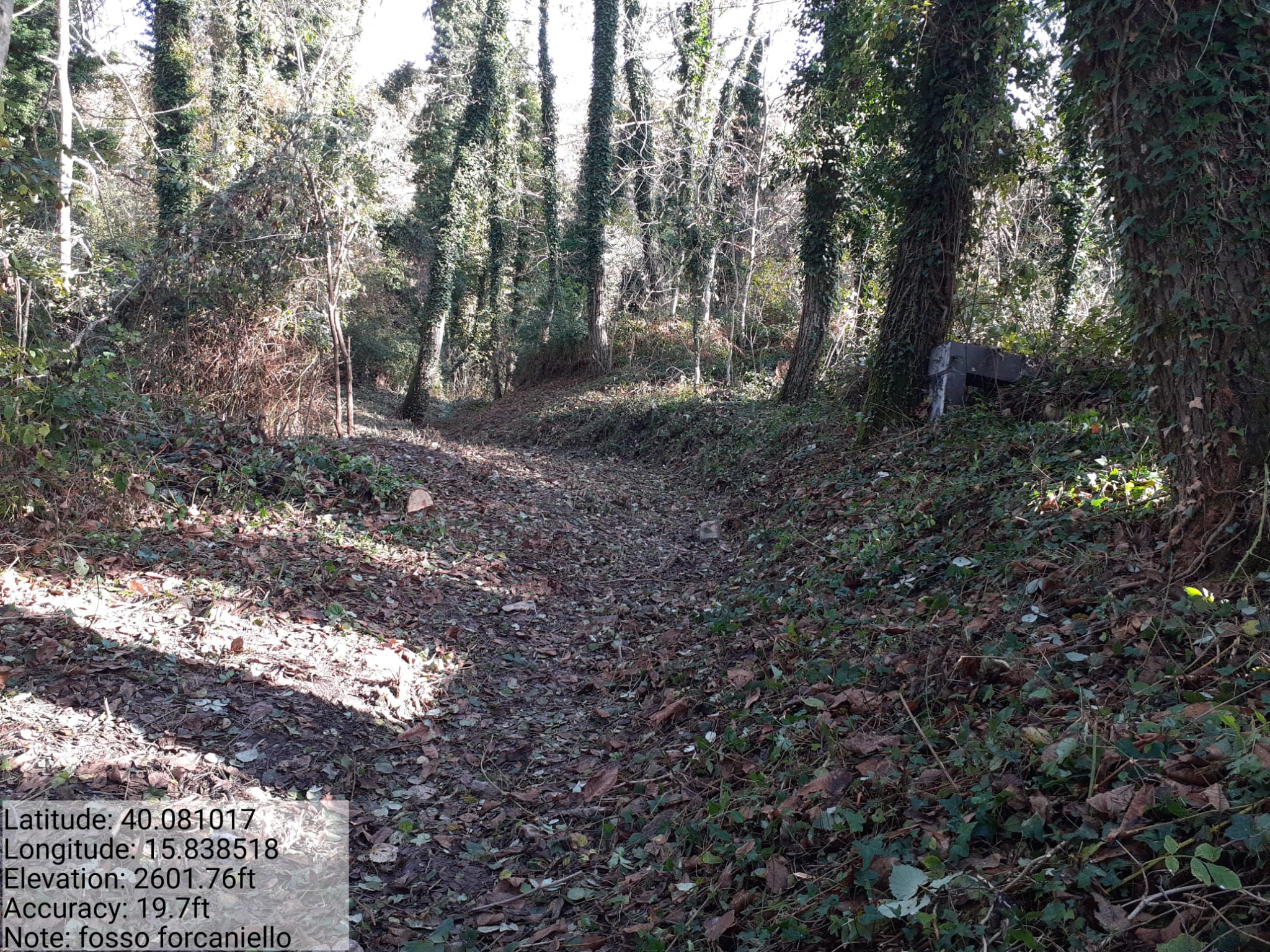 Galleria Fotografica Immagine