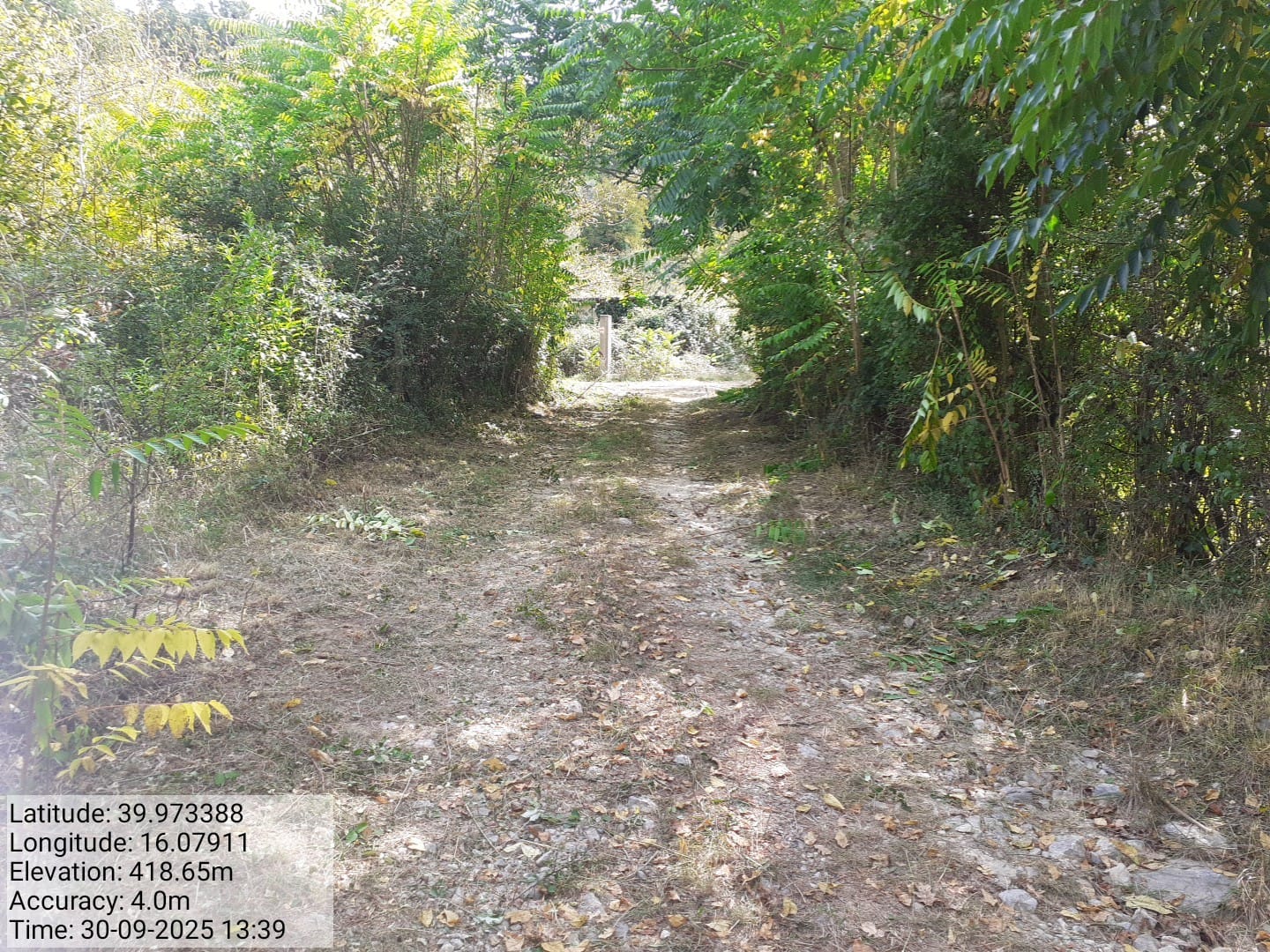 Galleria Fotografica Immagine