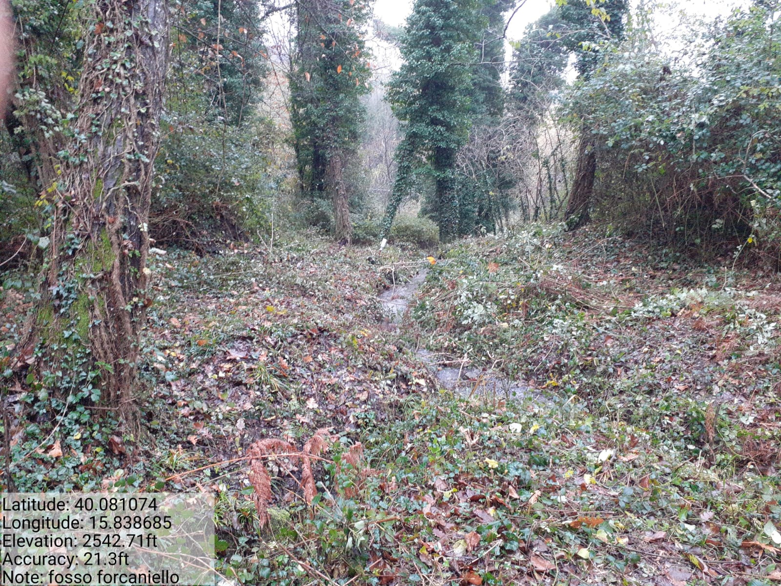 Galleria Fotografica Immagine