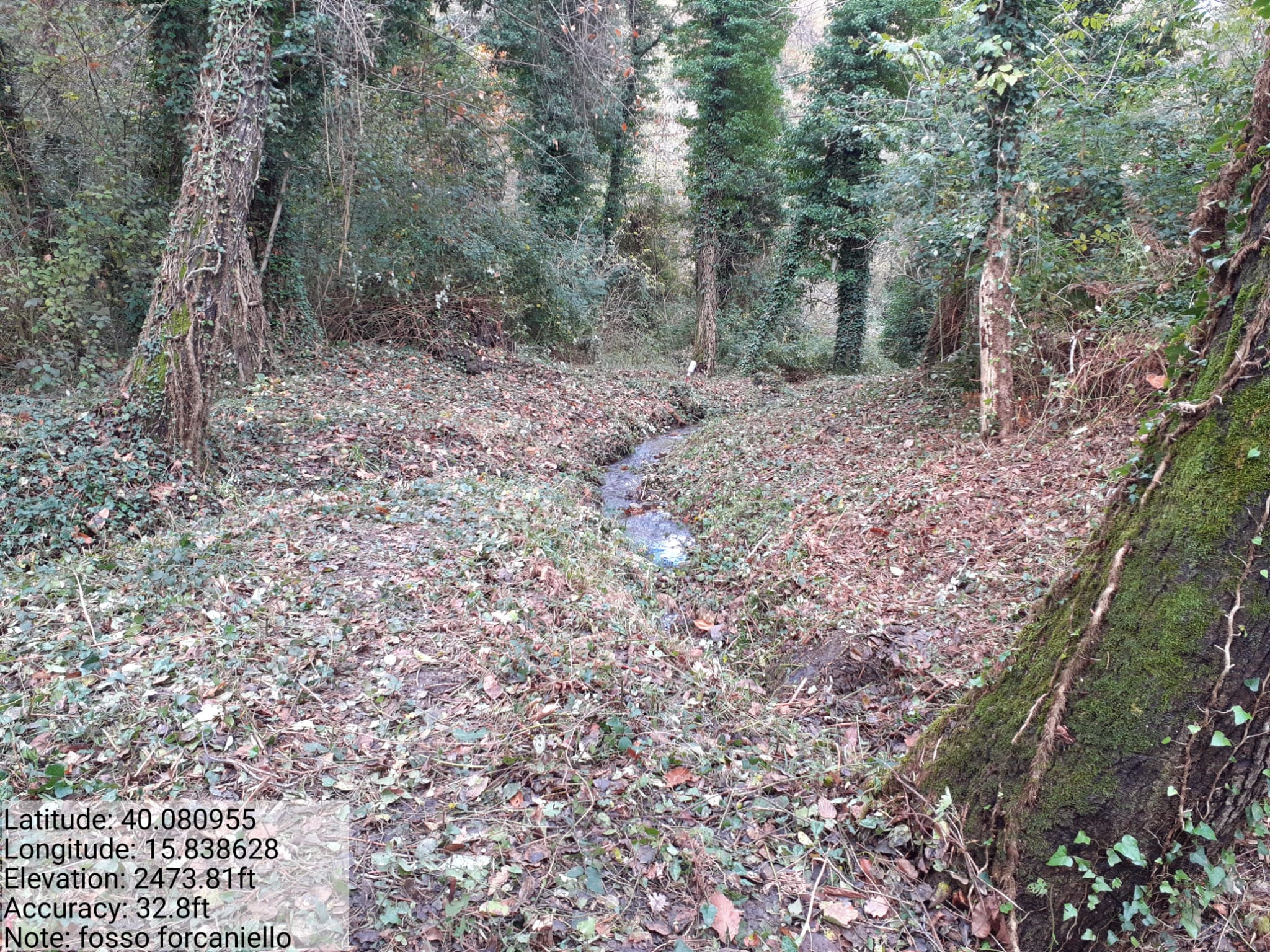 Galleria Fotografica Immagine