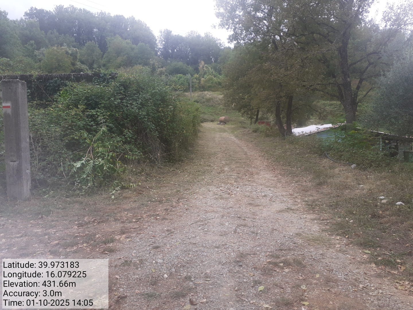 Galleria Fotografica Immagine