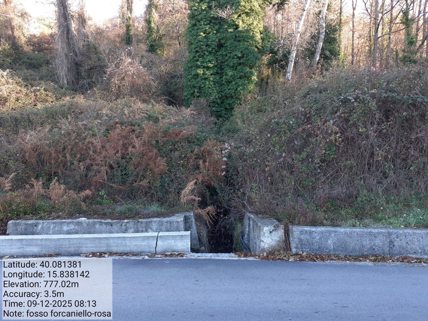 Galleria Fotografica Immagine