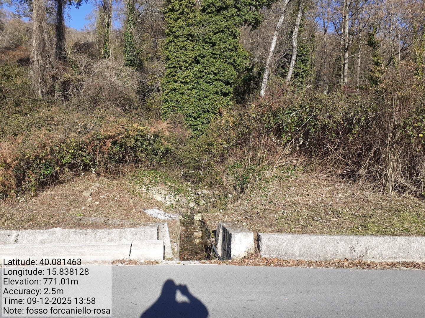 Galleria Fotografica Immagine