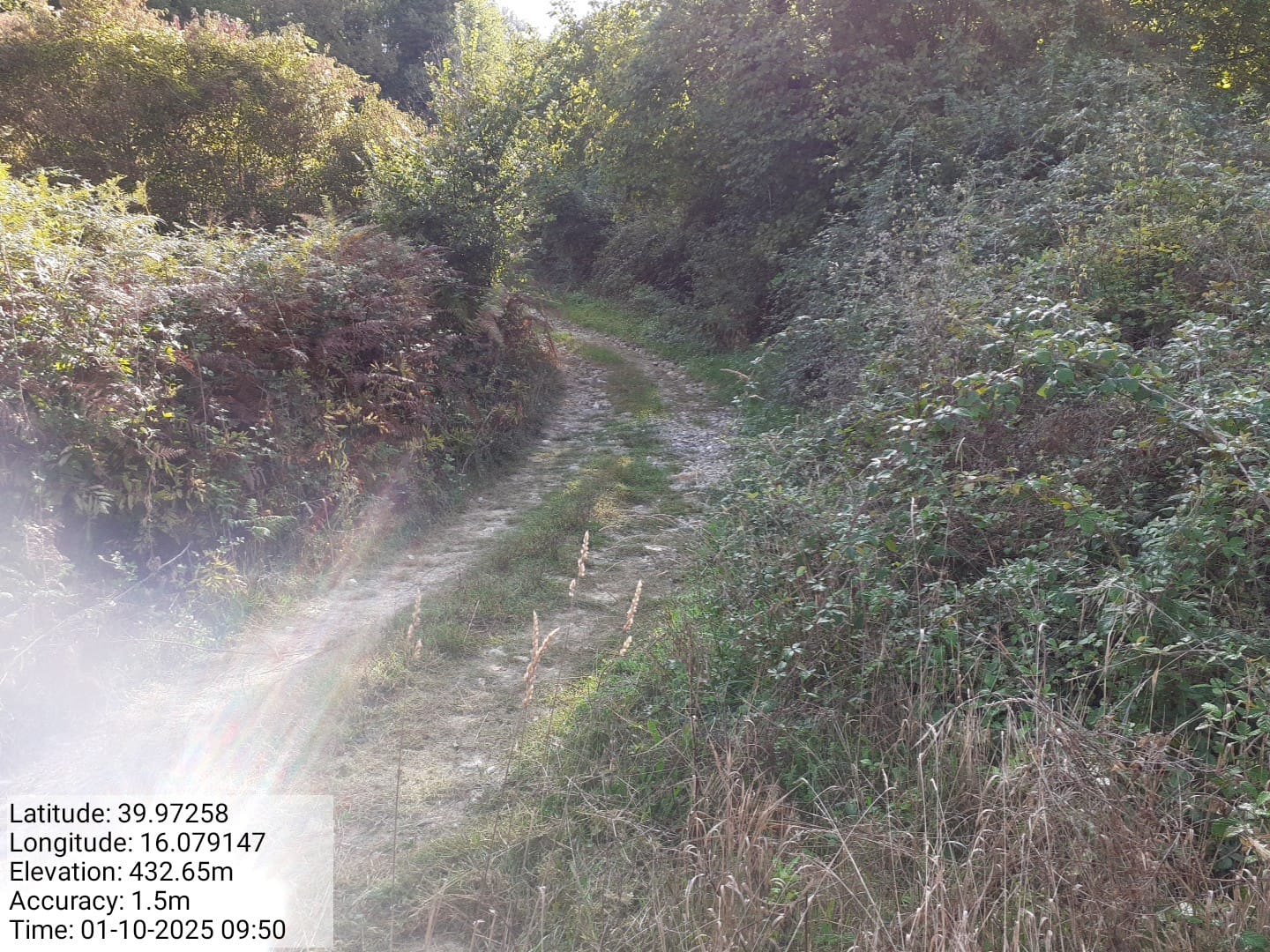 Galleria Fotografica Immagine