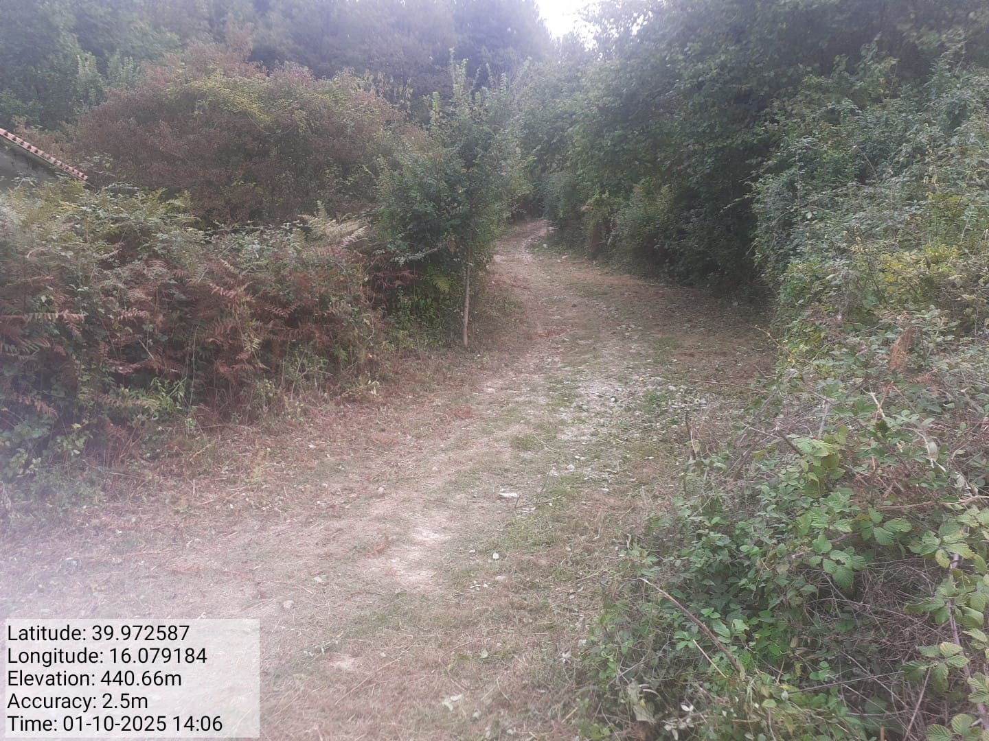 Galleria Fotografica Immagine