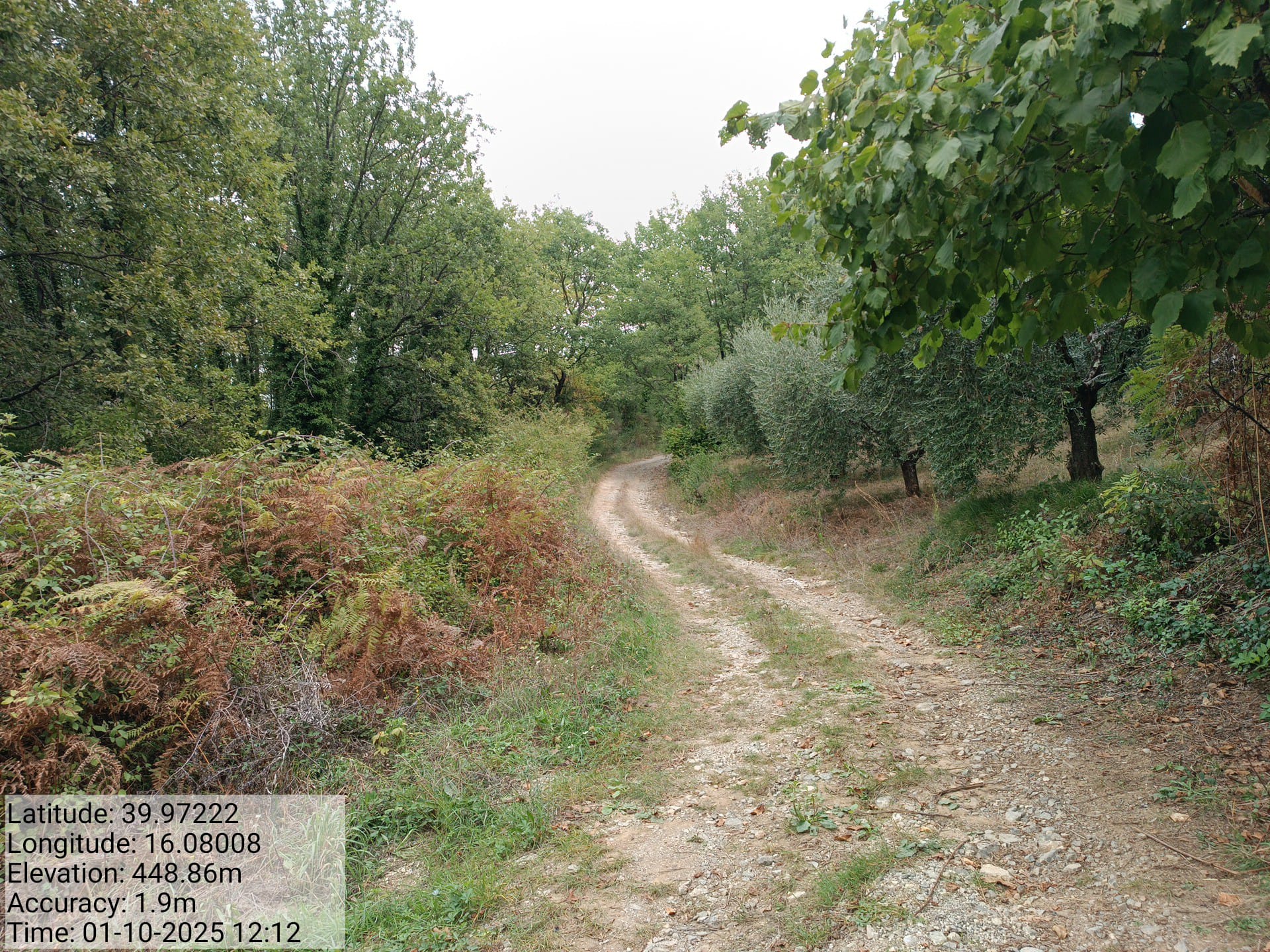 Galleria Fotografica Immagine