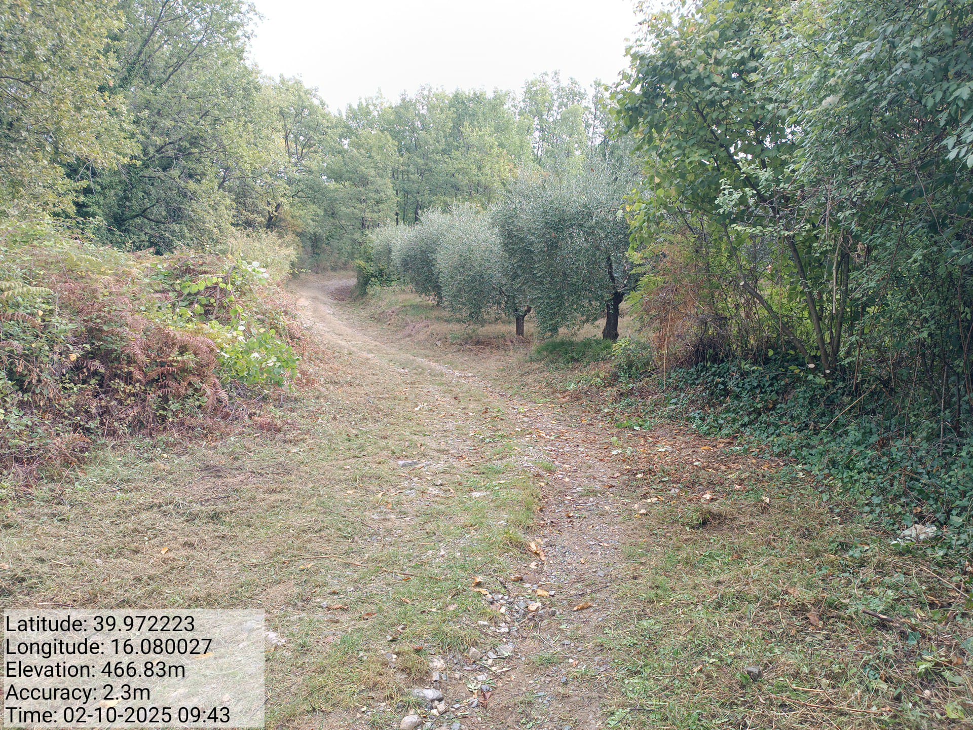 Galleria Fotografica Immagine