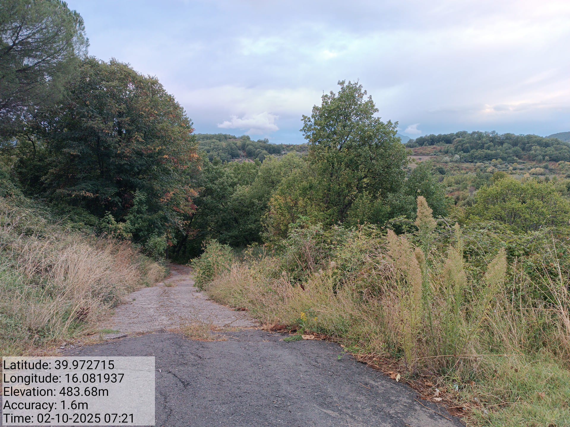 Galleria Fotografica Immagine