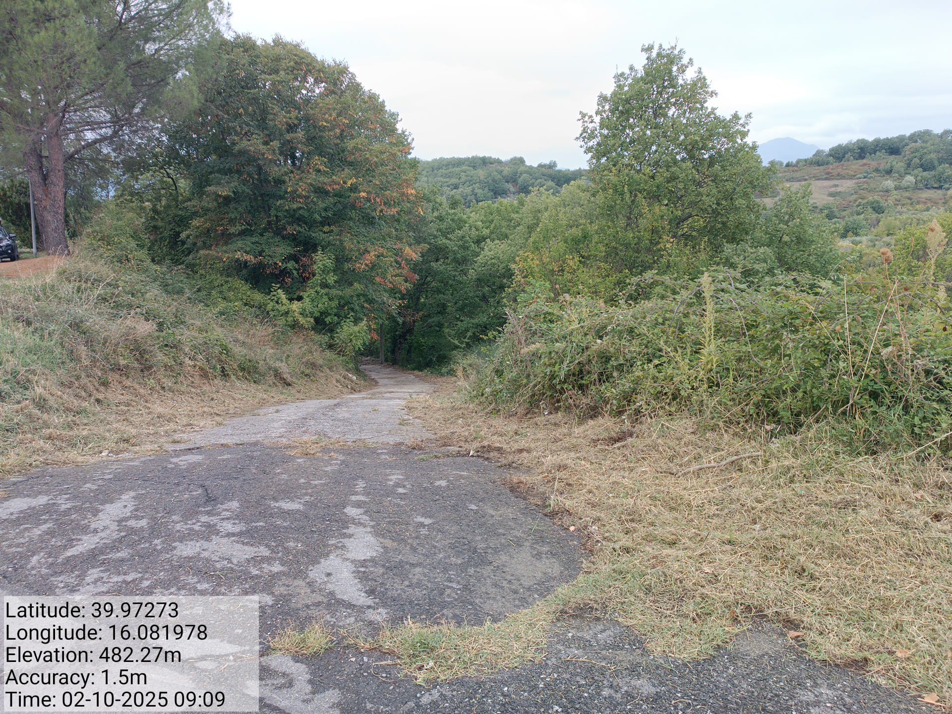 Galleria Fotografica Immagine