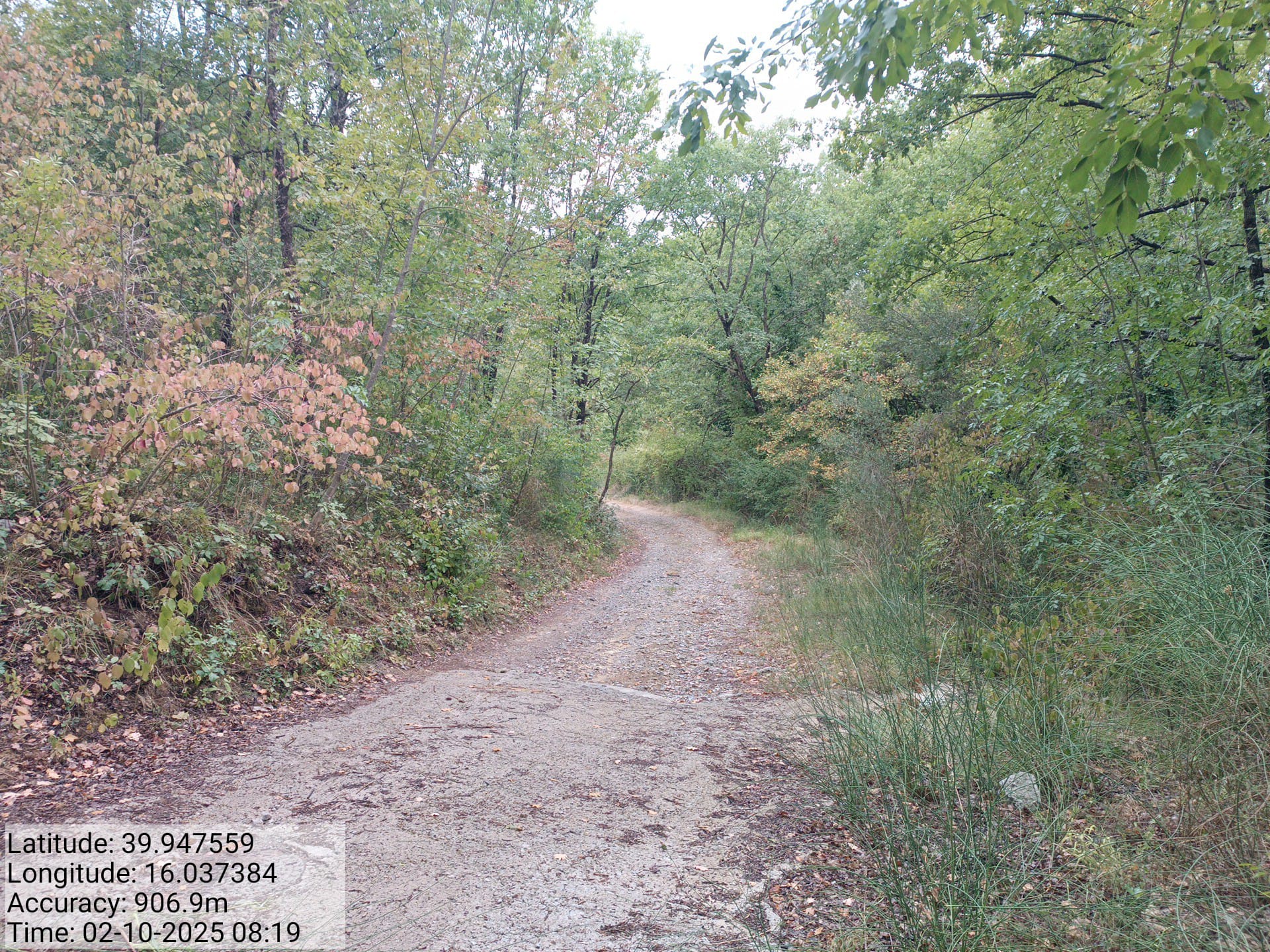 Galleria Fotografica Immagine