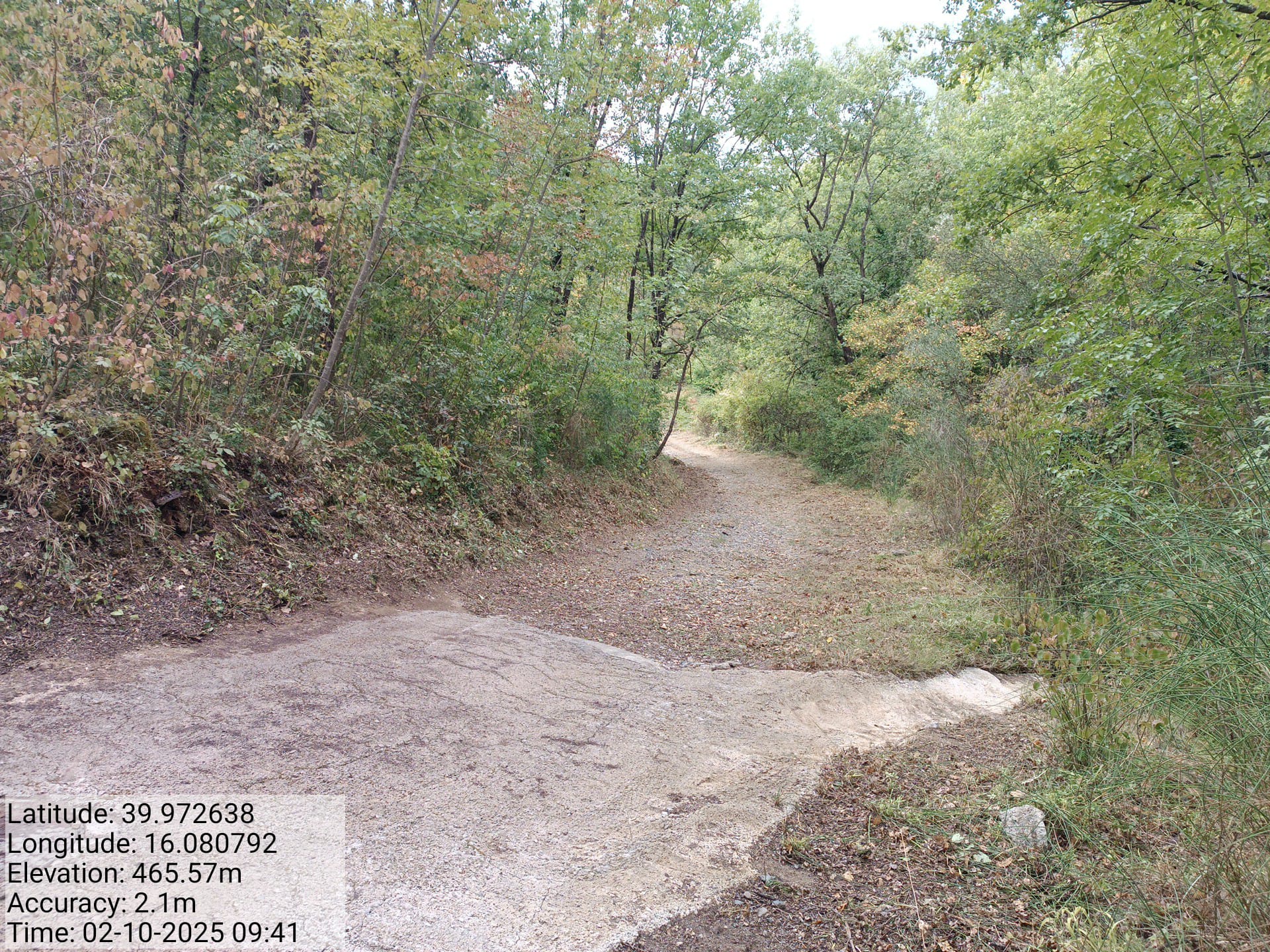 Galleria Fotografica Immagine