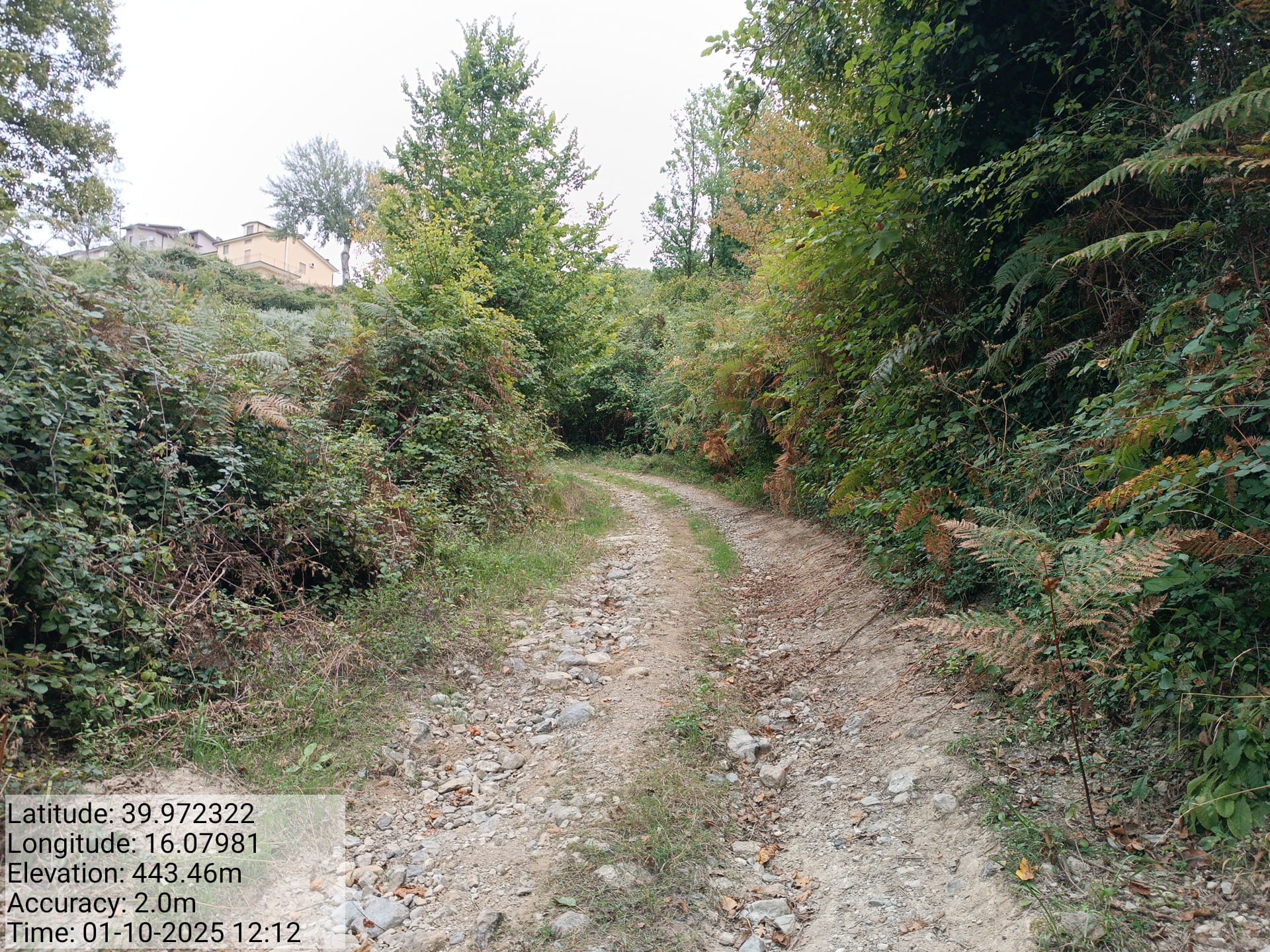 Galleria Fotografica Immagine