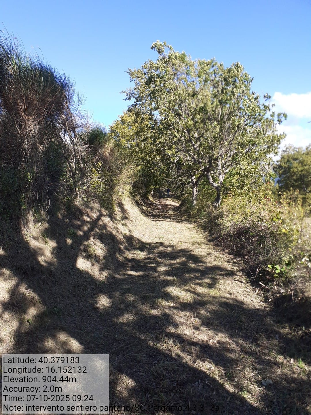 Galleria Fotografica Immagine