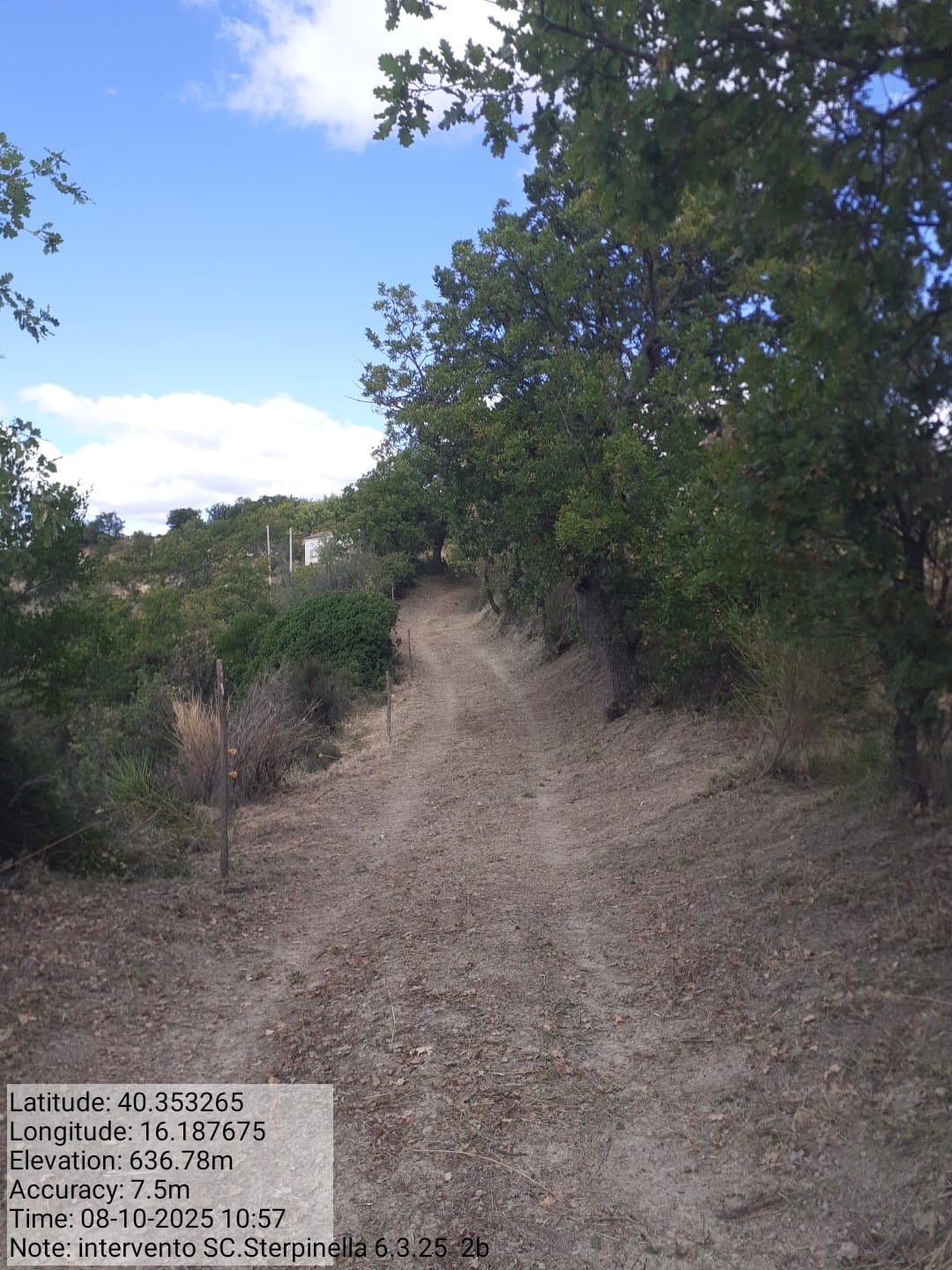 Galleria Fotografica Immagine