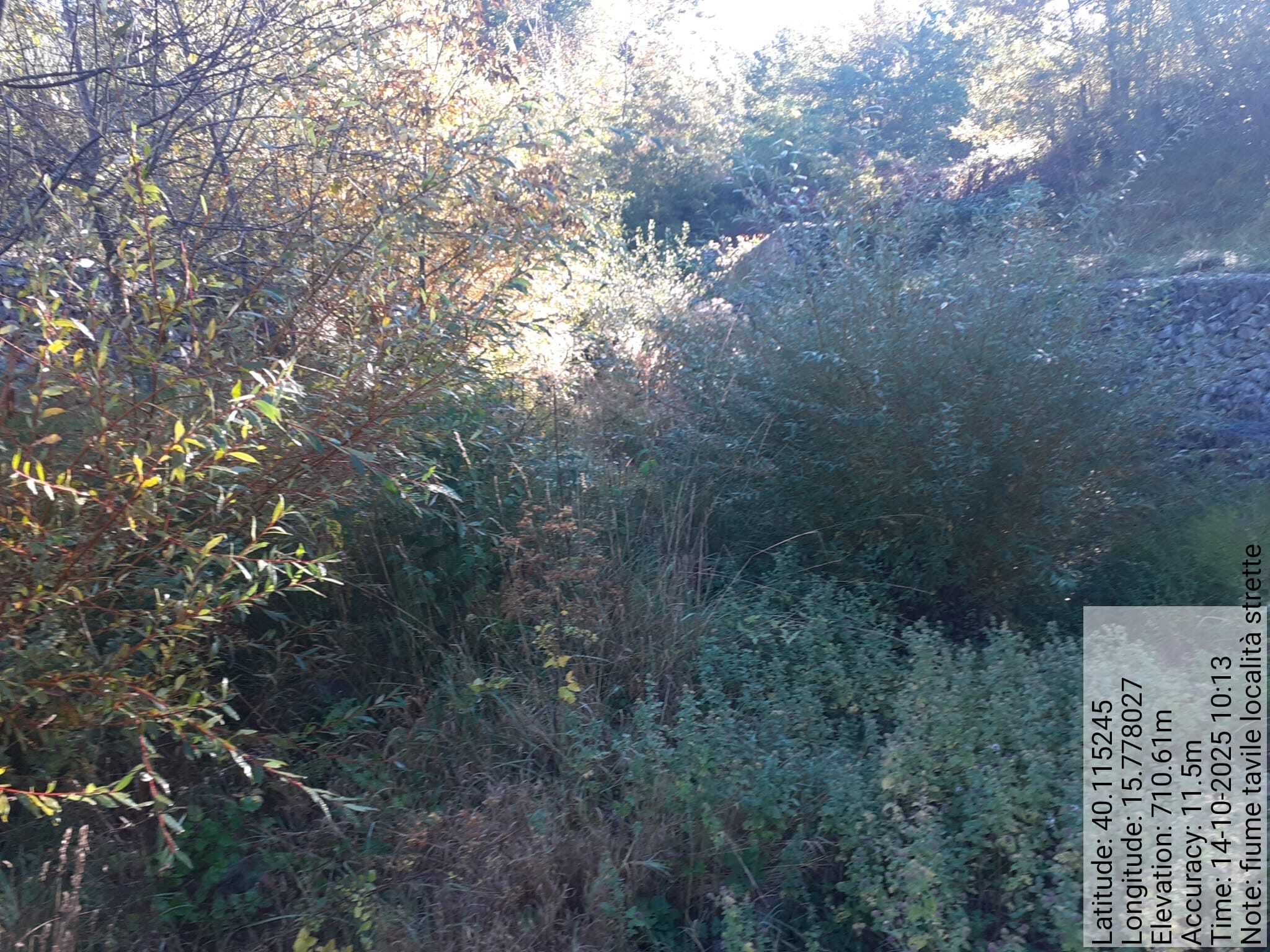 Galleria Fotografica Immagine