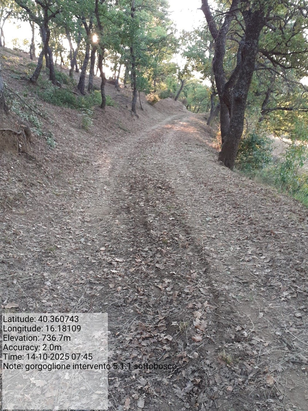 Galleria Fotografica Immagine