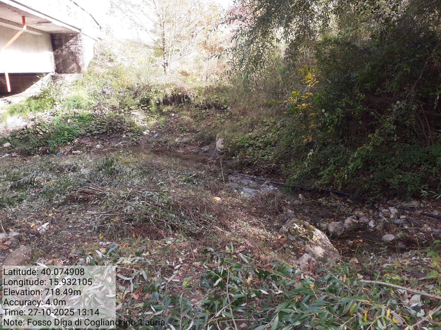 Galleria Fotografica Immagine