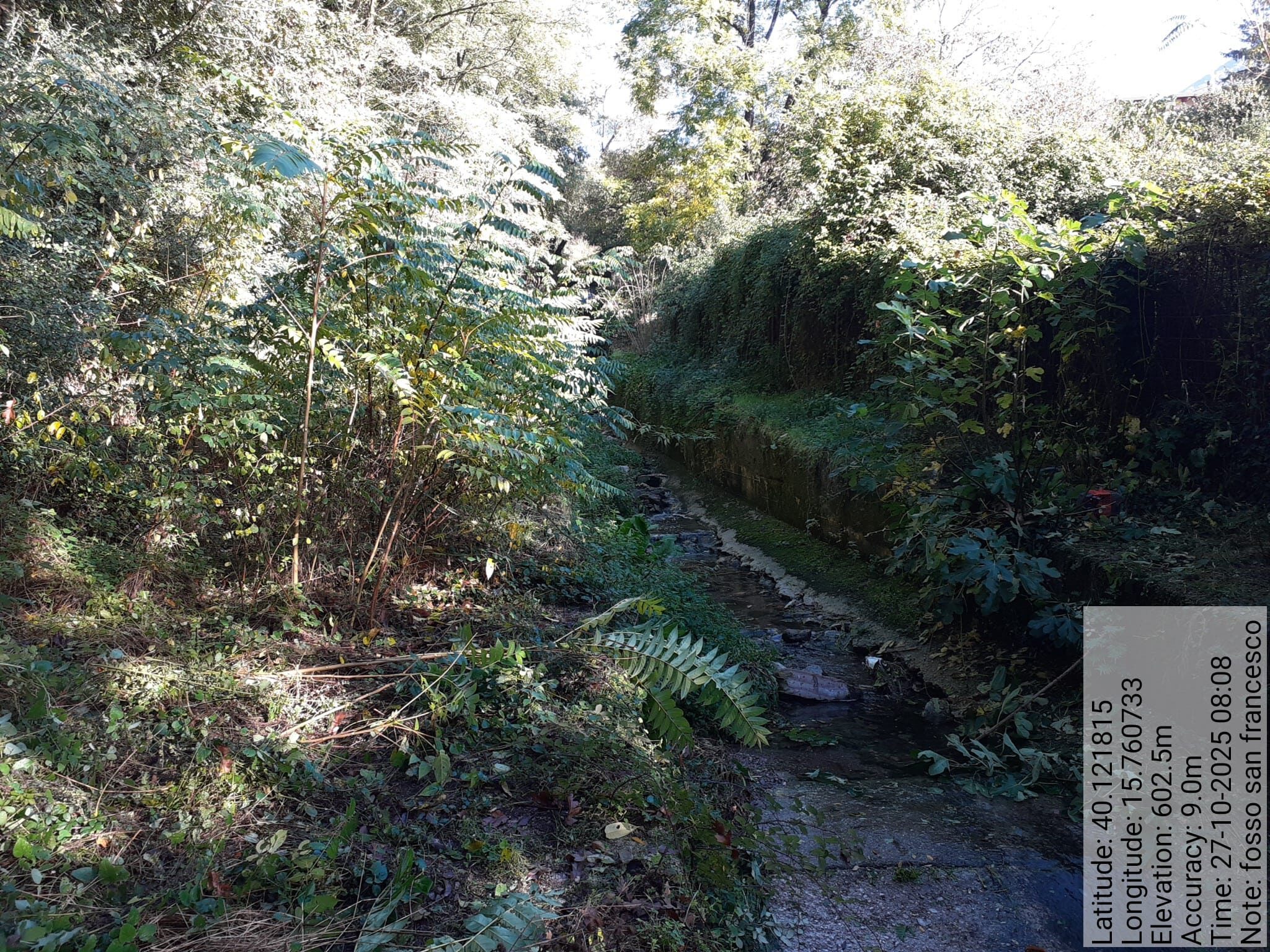 Galleria Fotografica Immagine