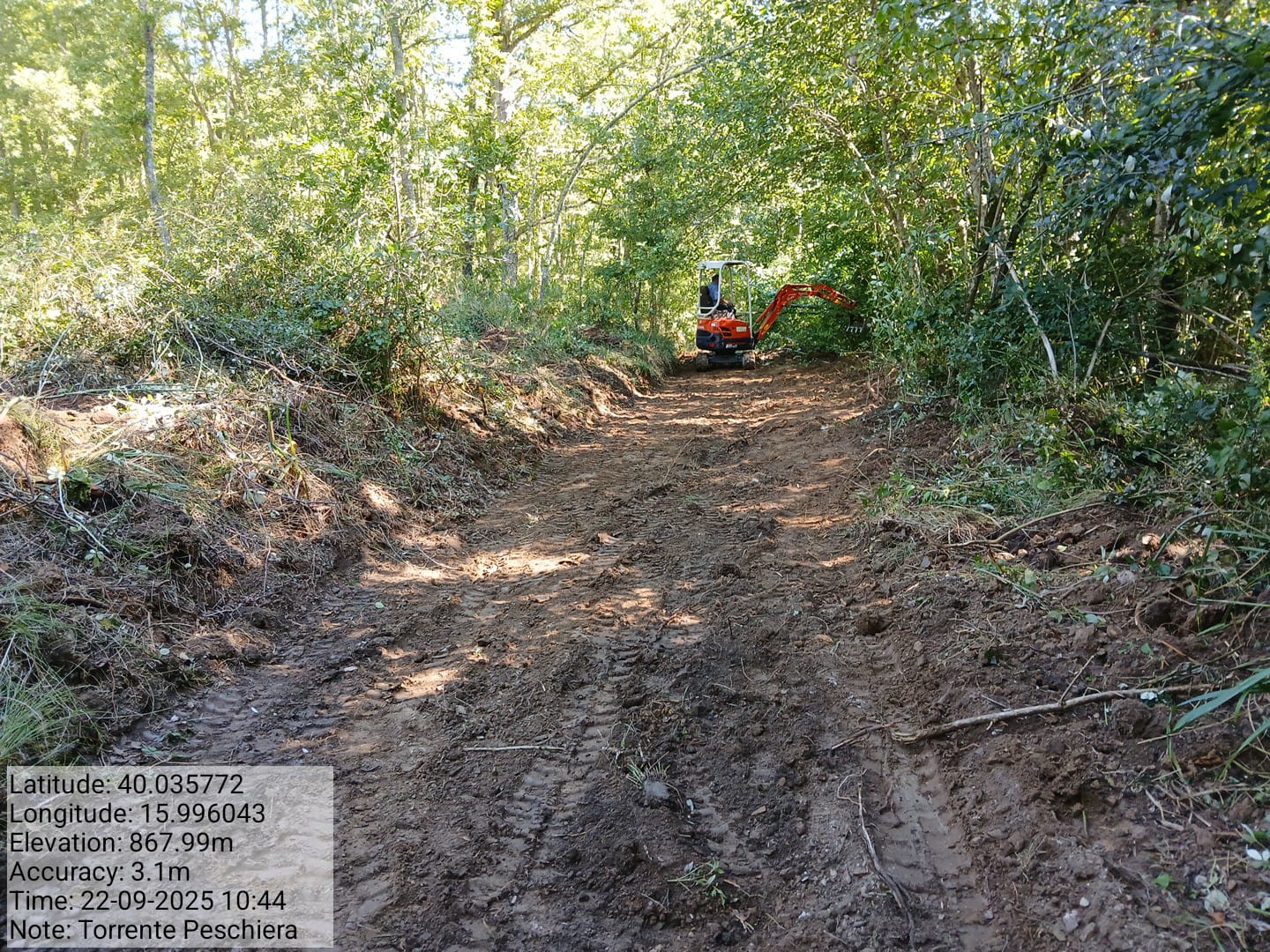 Galleria Fotografica Immagine