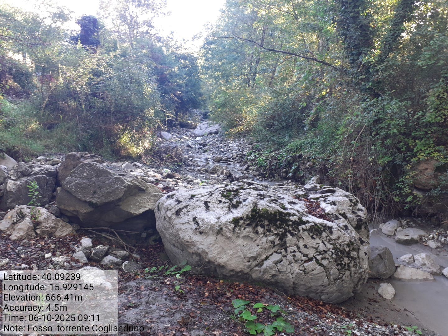 Galleria Fotografica Immagine