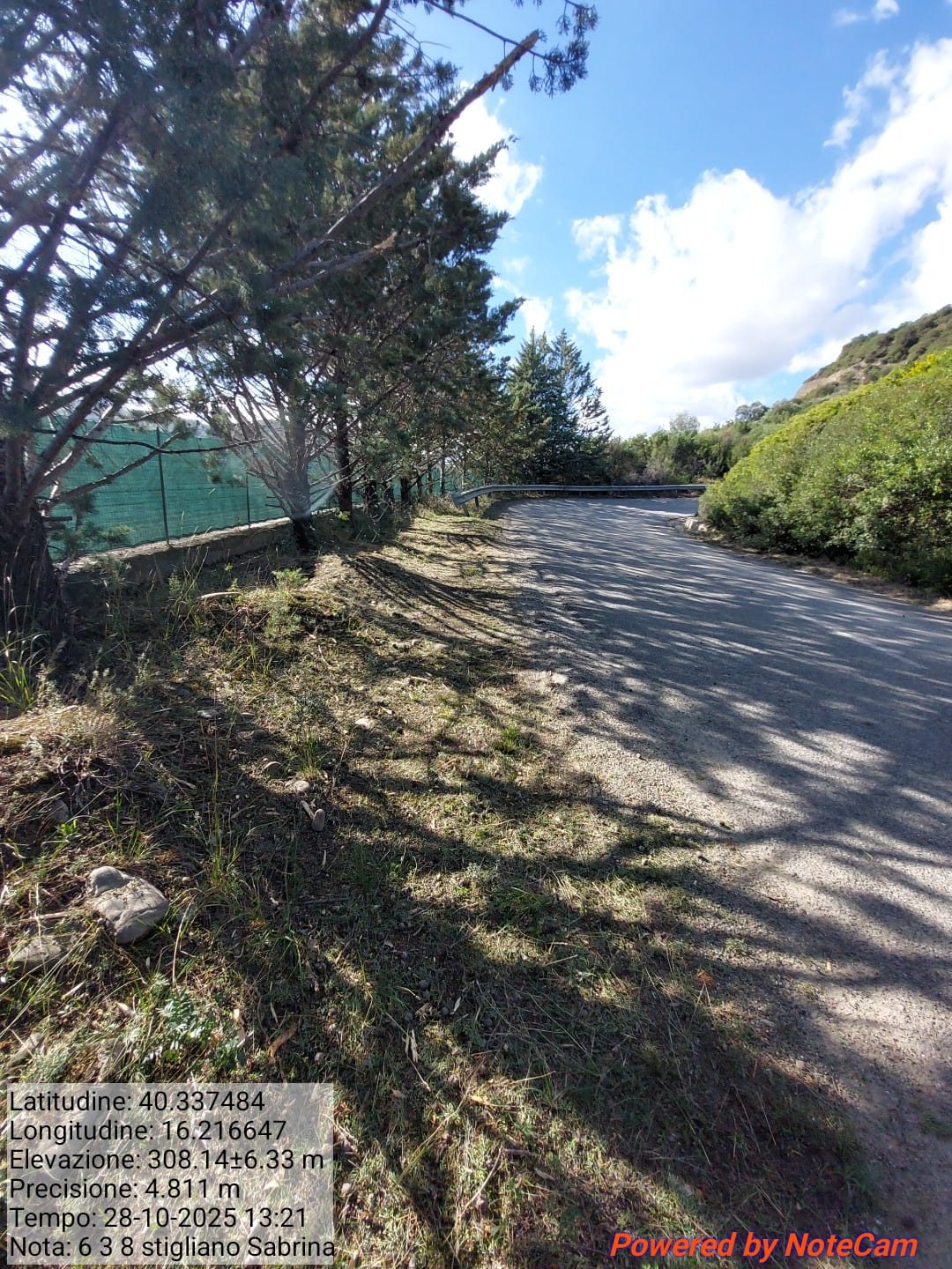 Galleria Fotografica Immagine