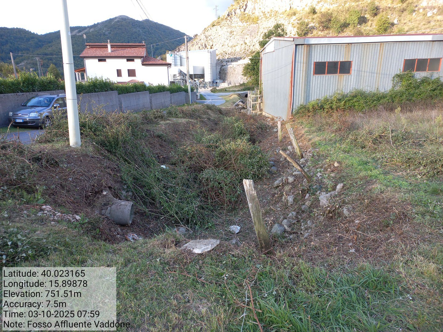 Galleria Fotografica Immagine