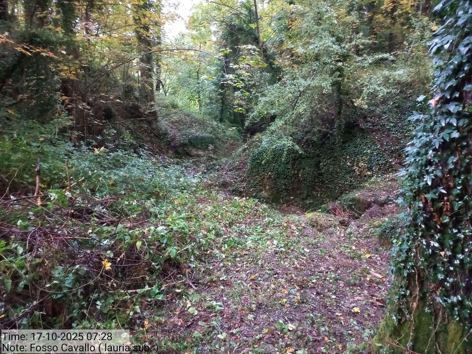 Galleria Fotografica Immagine