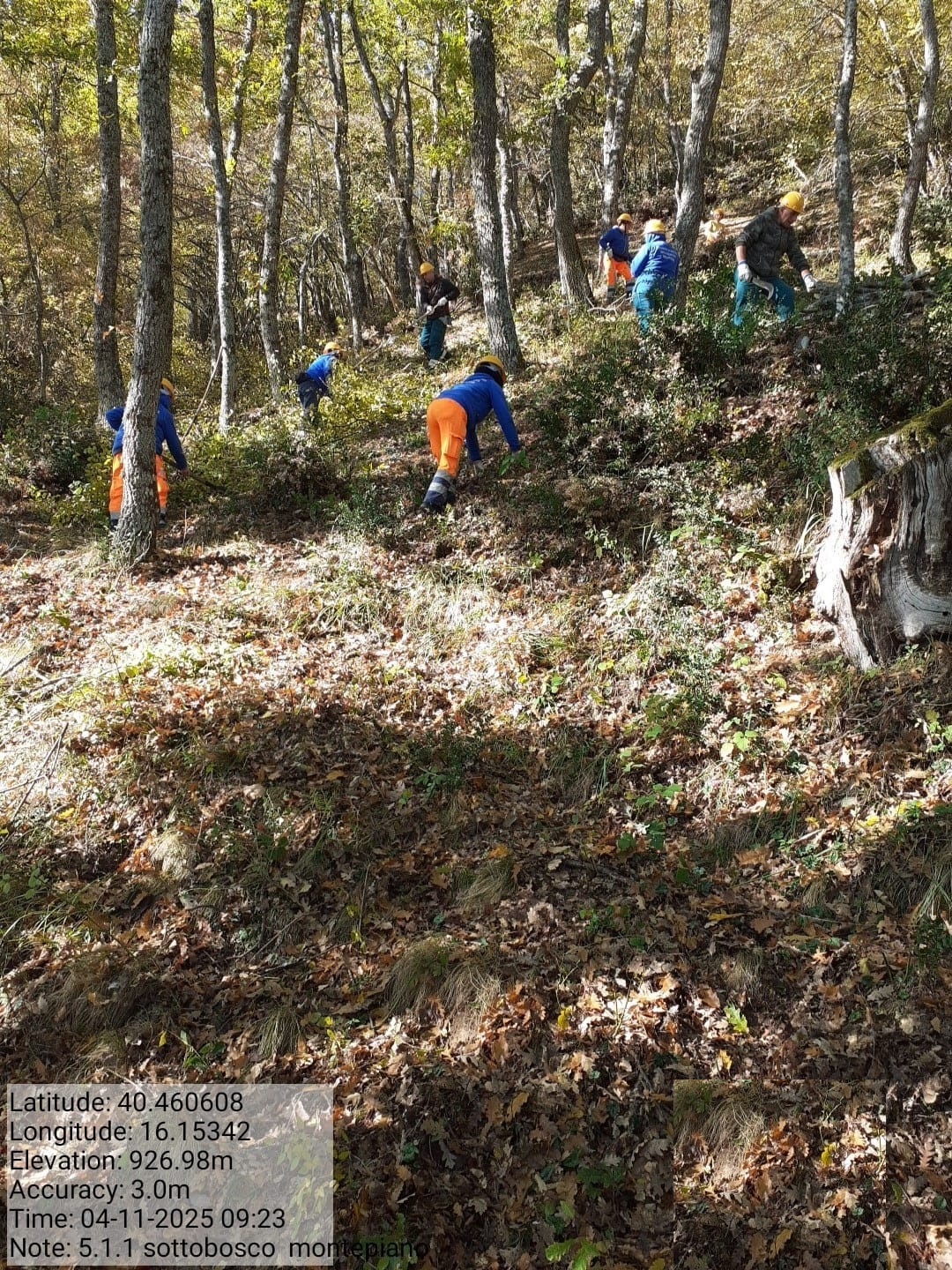 Galleria Fotografica Immagine