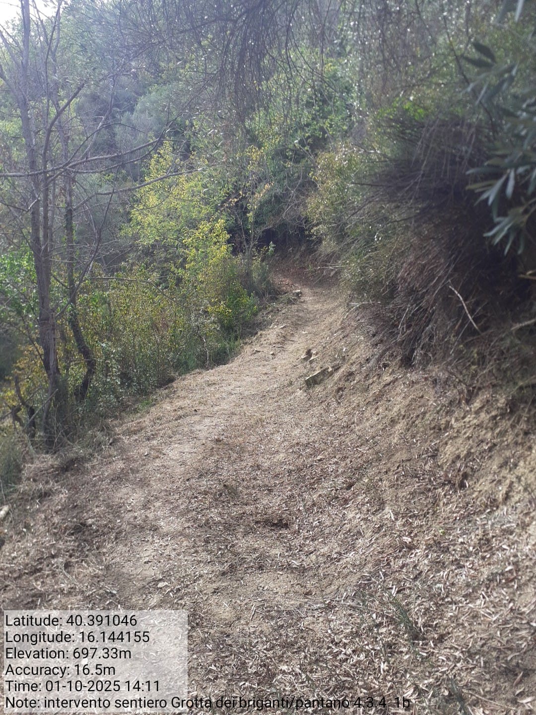 Galleria Fotografica Immagine