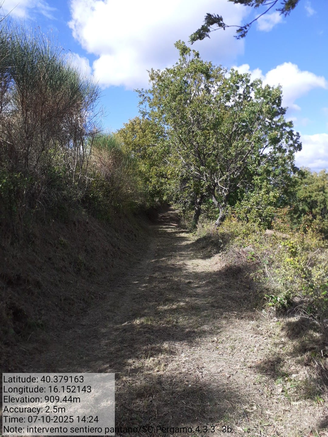 Galleria Fotografica Immagine