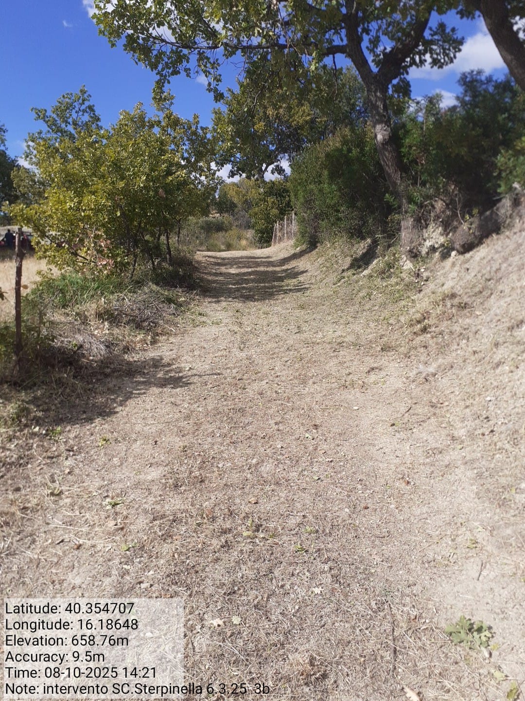 Galleria Fotografica Immagine