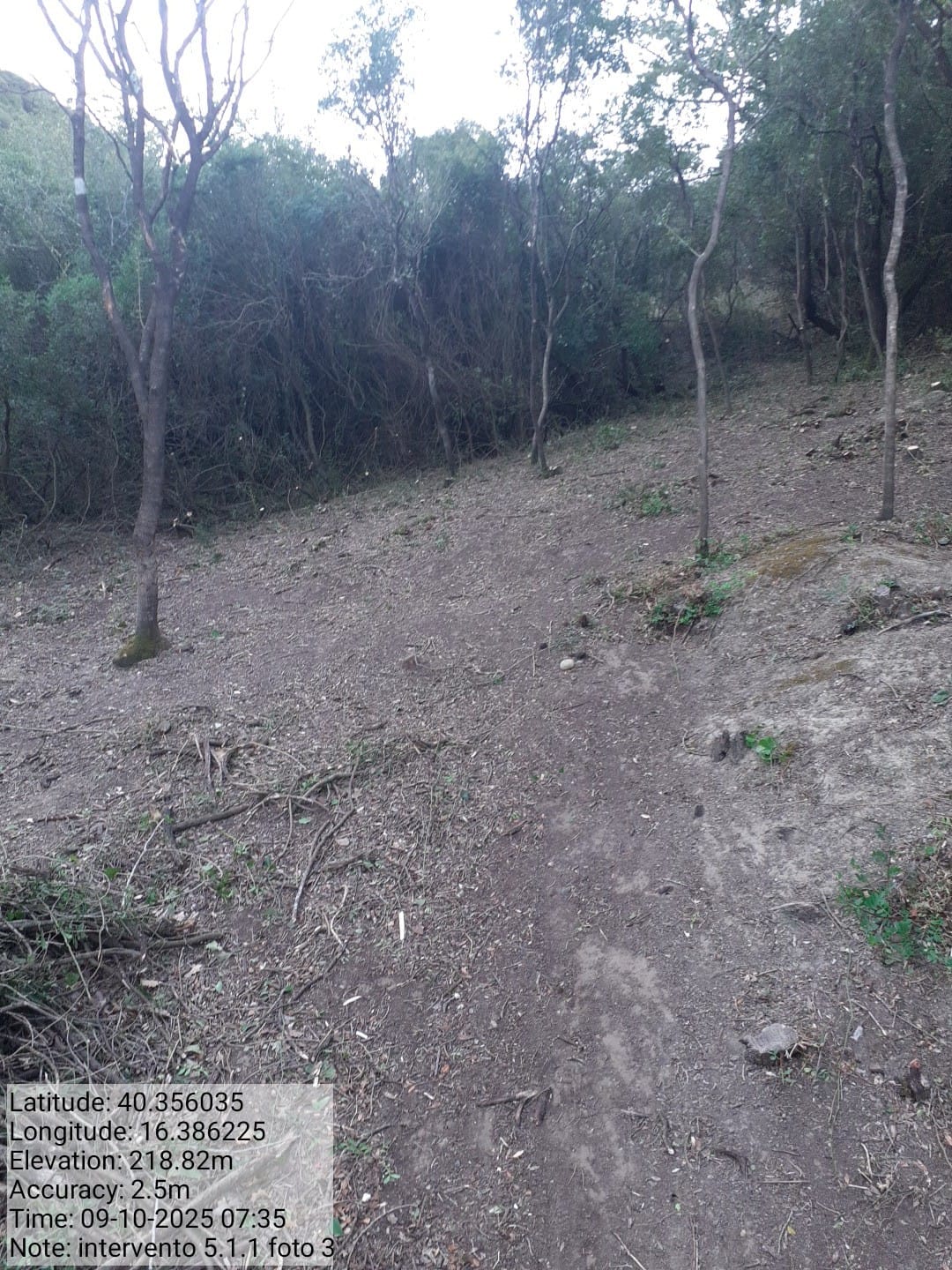 Galleria Fotografica Immagine