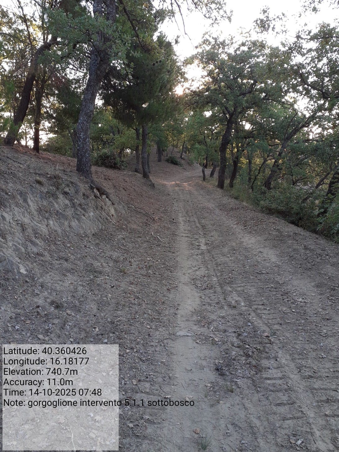 Galleria Fotografica Immagine