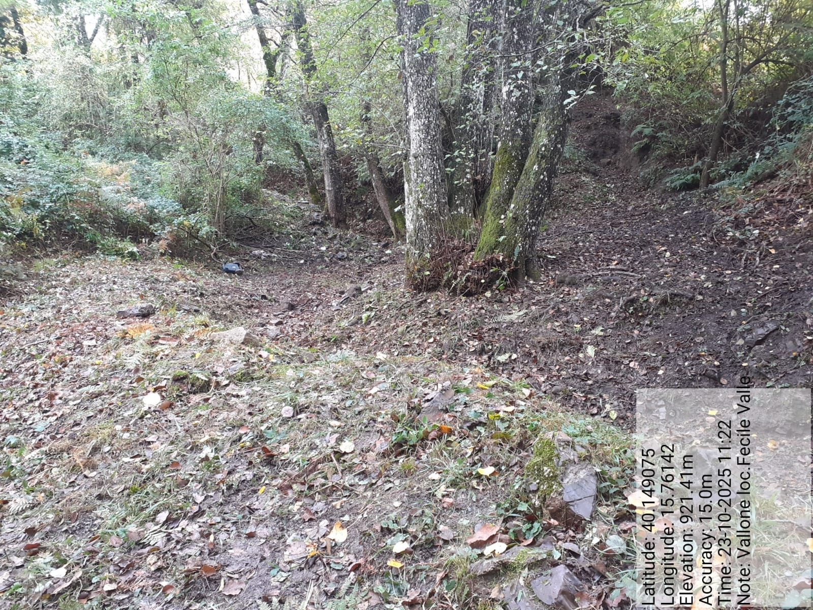 Galleria Fotografica Immagine