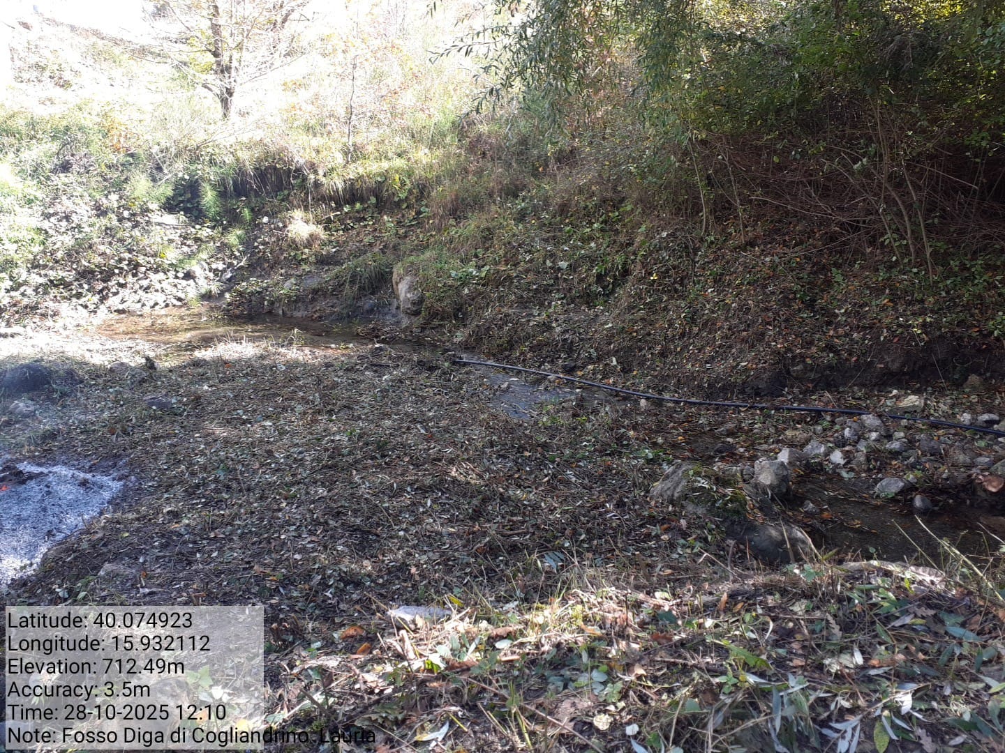 Galleria Fotografica Immagine