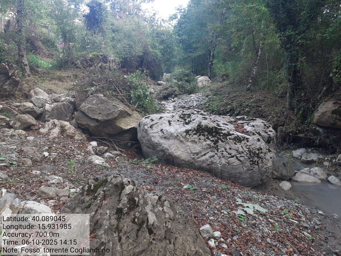 Galleria Fotografica Immagine