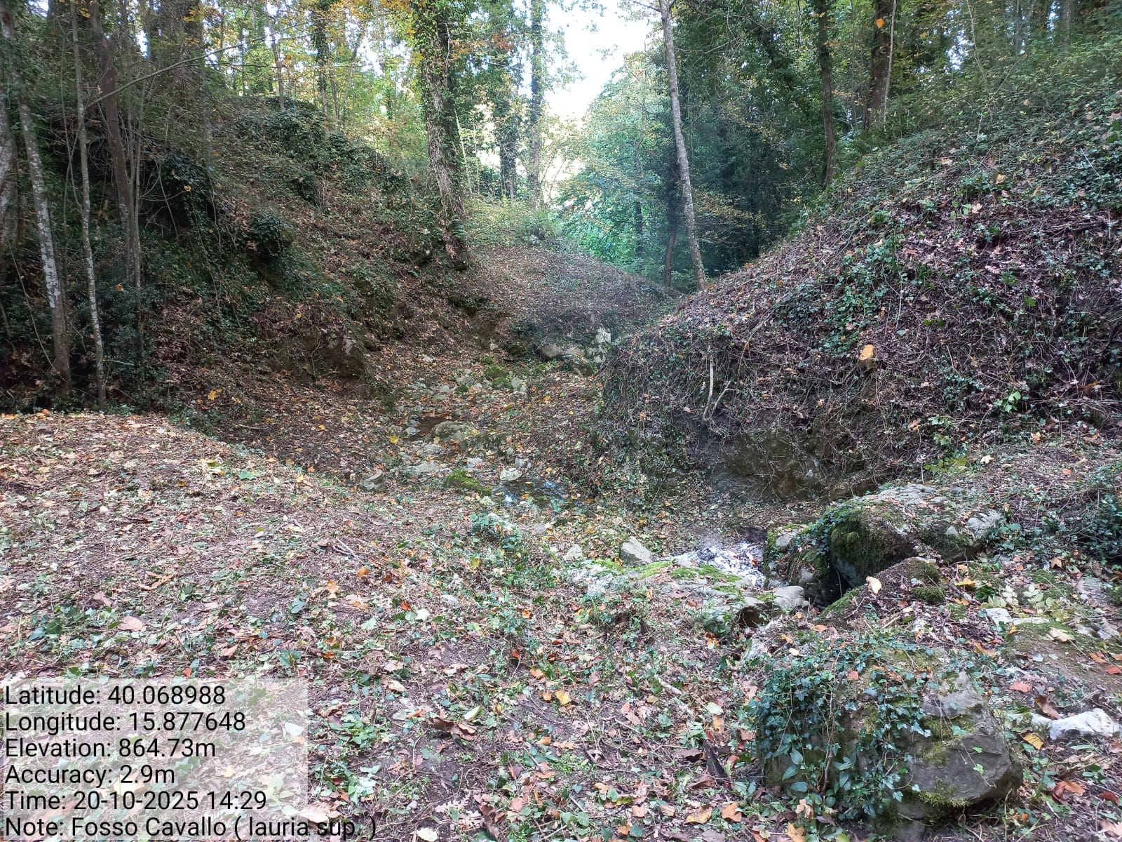 Galleria Fotografica Immagine