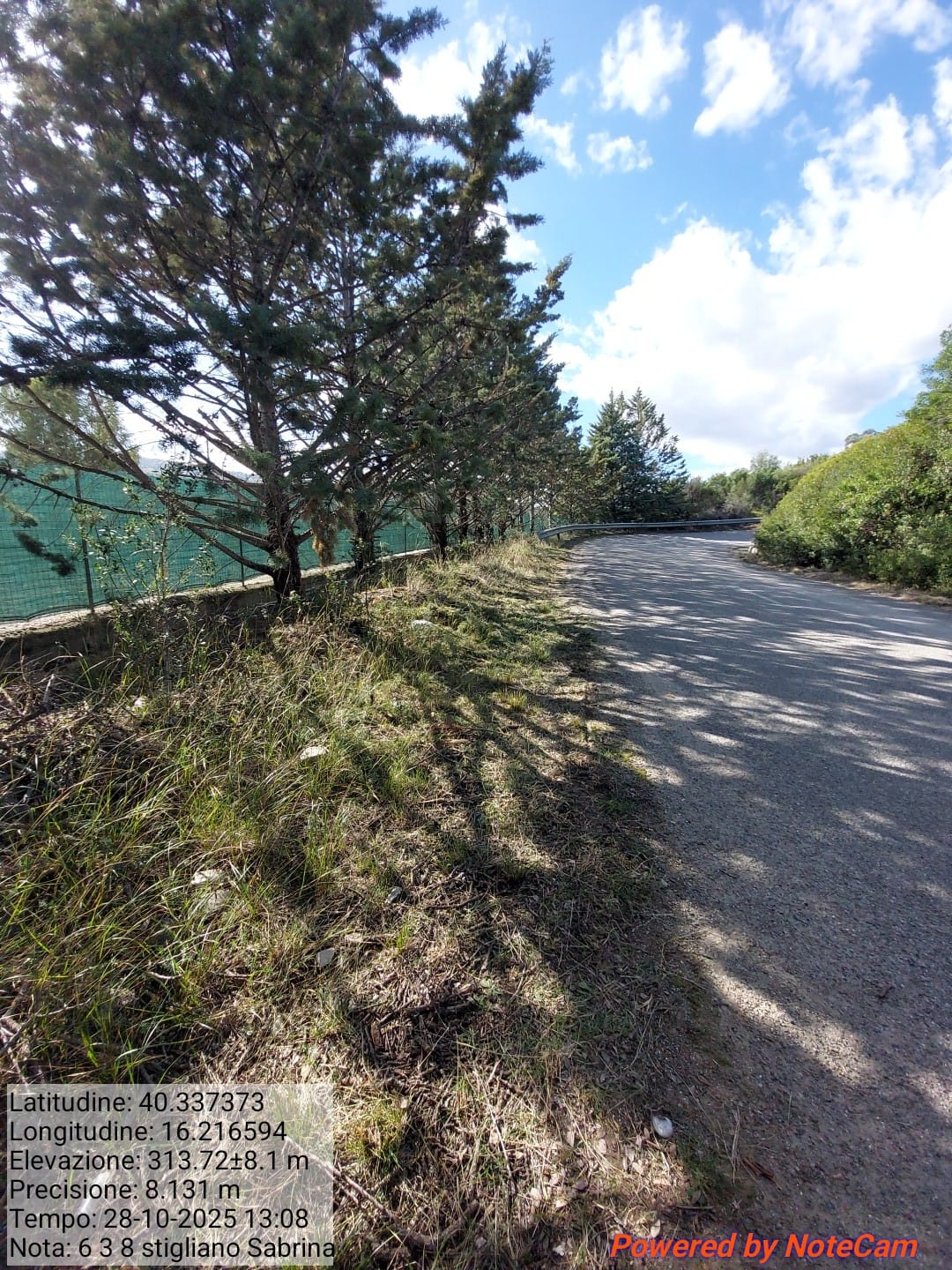 Galleria Fotografica Immagine