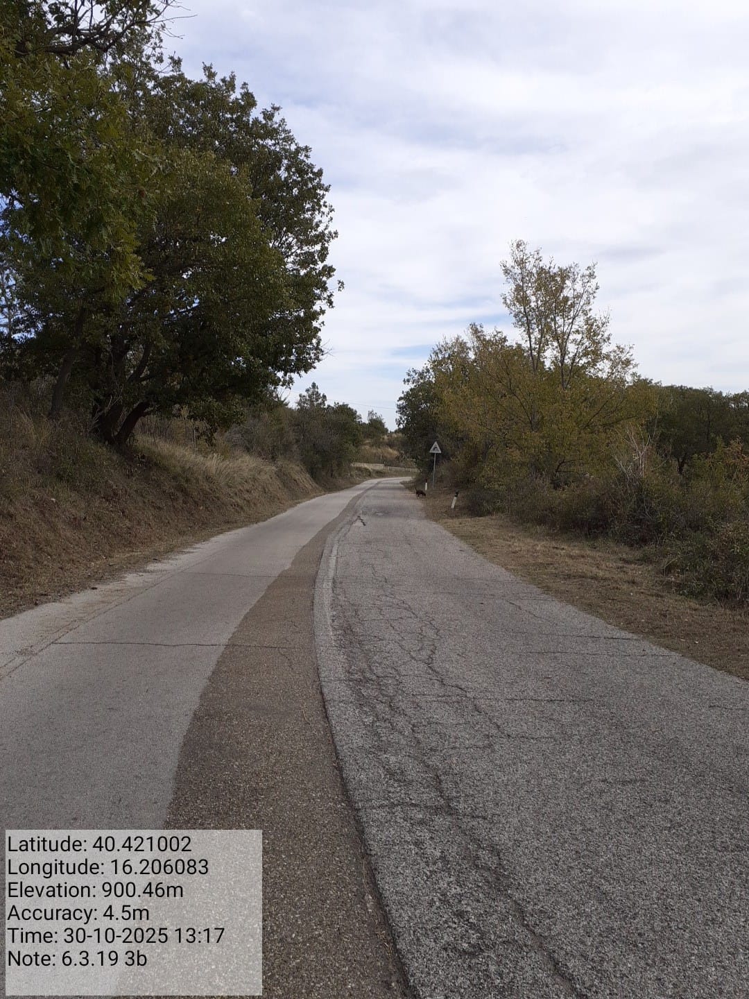 Galleria Fotografica Immagine