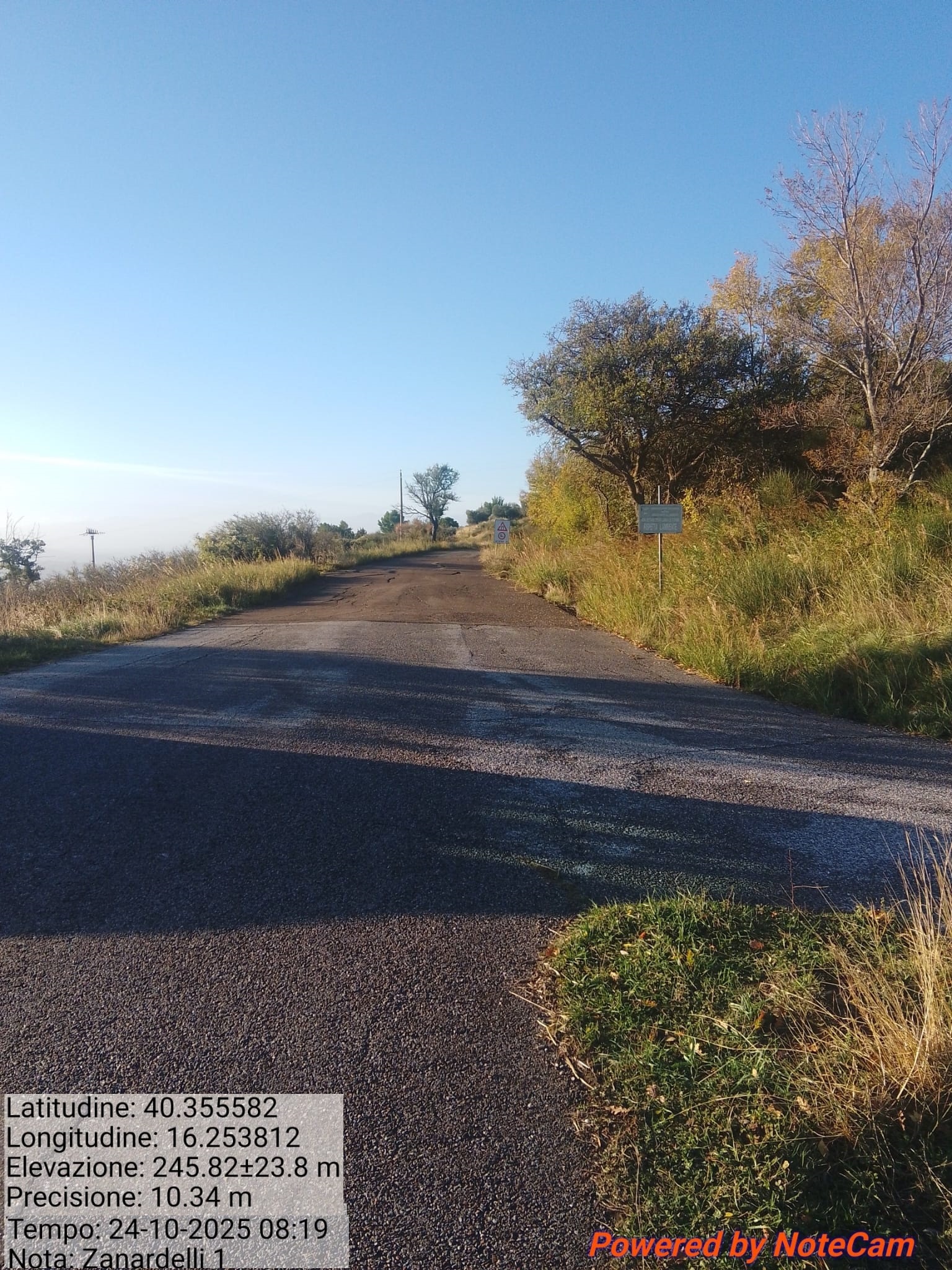 Galleria Fotografica Immagine