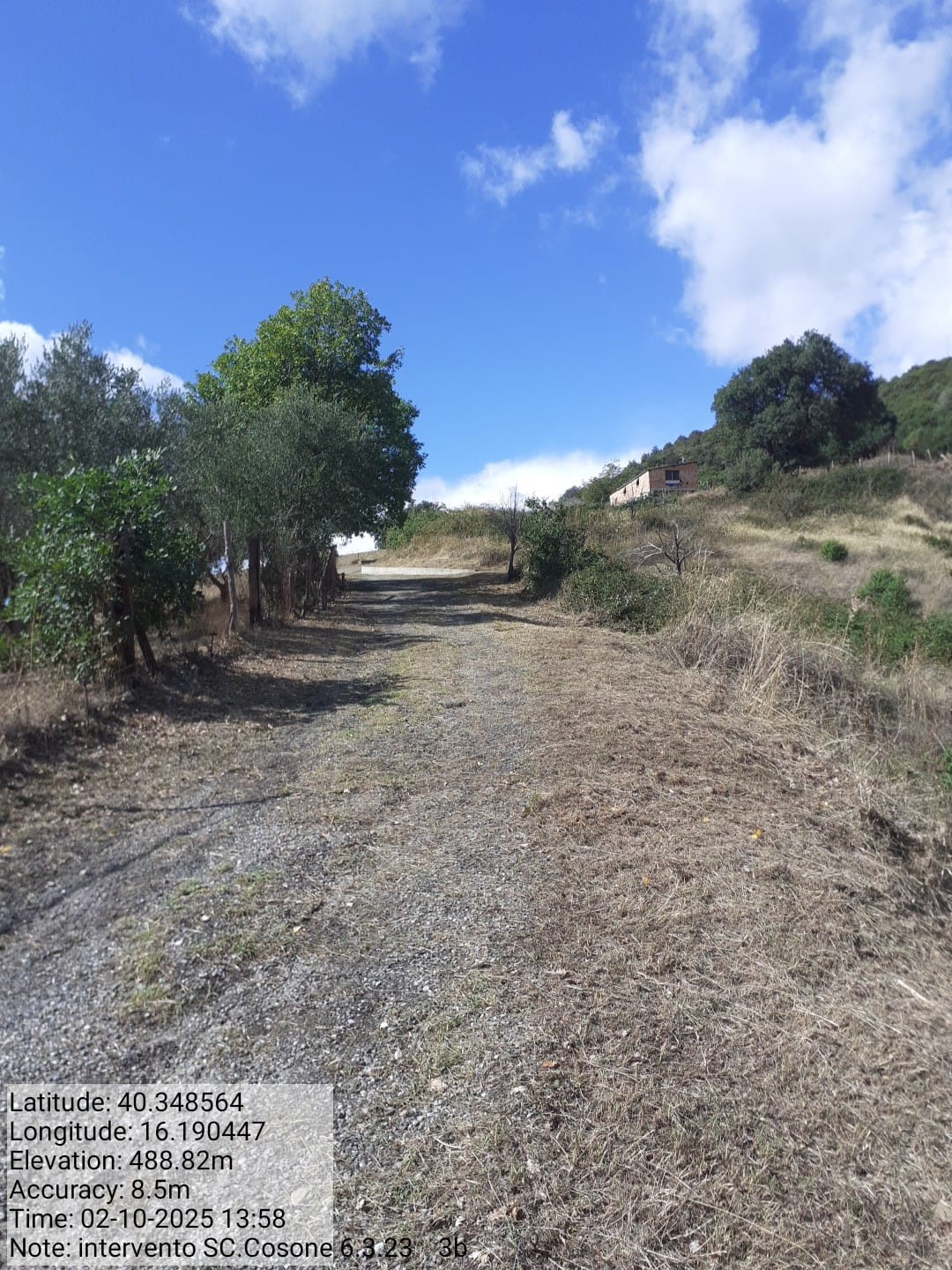 Galleria Fotografica Immagine