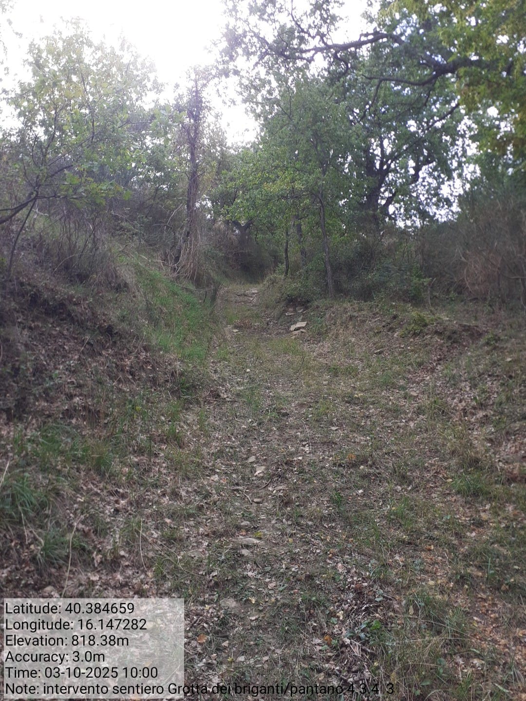 Galleria Fotografica Immagine