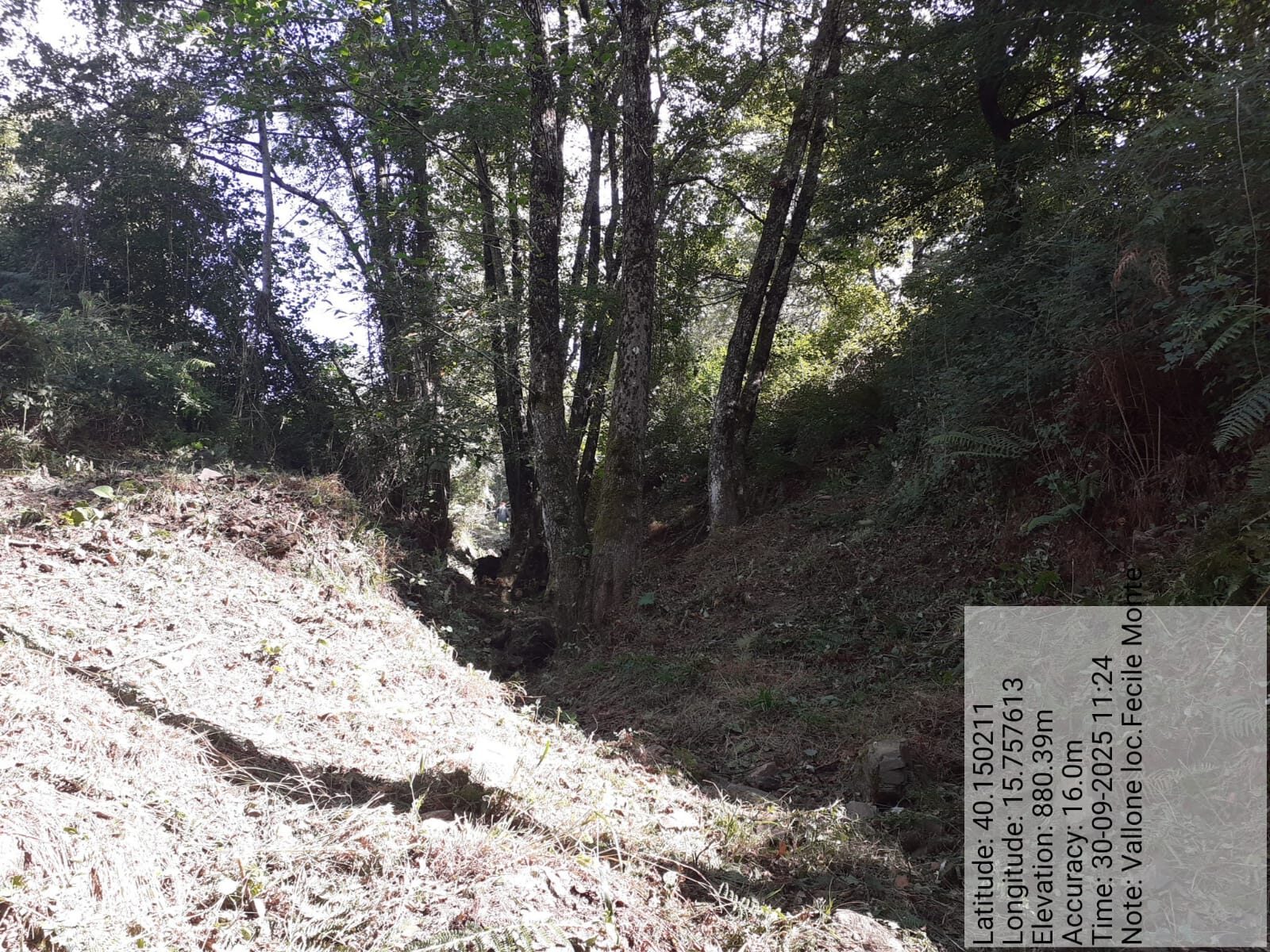 Galleria Fotografica Immagine