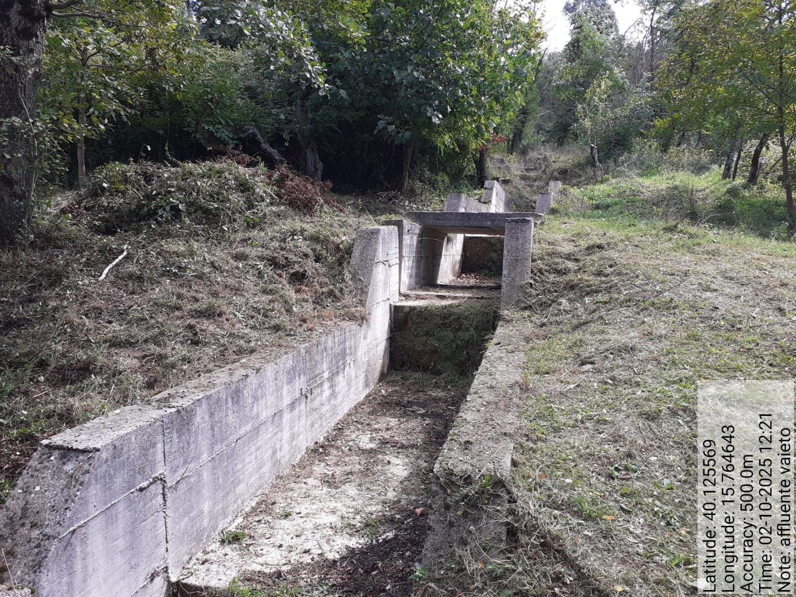 Galleria Fotografica Immagine