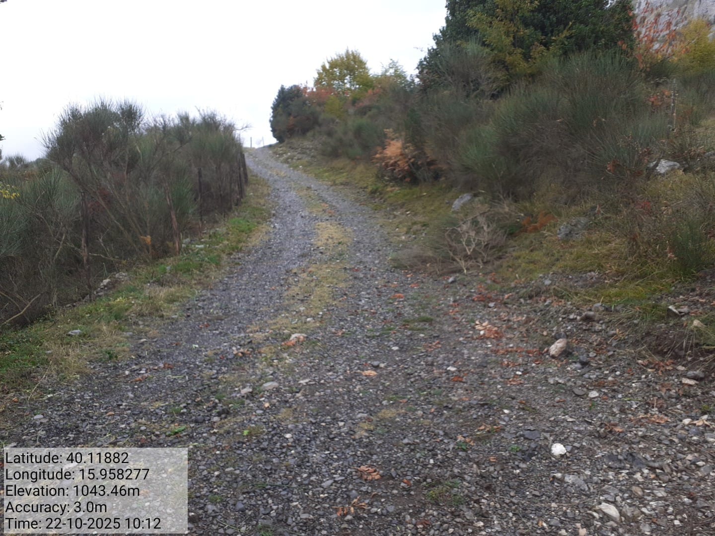 Galleria Fotografica Immagine